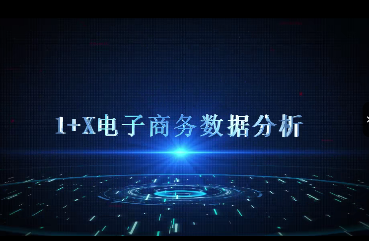 1+X电子商务数据分析