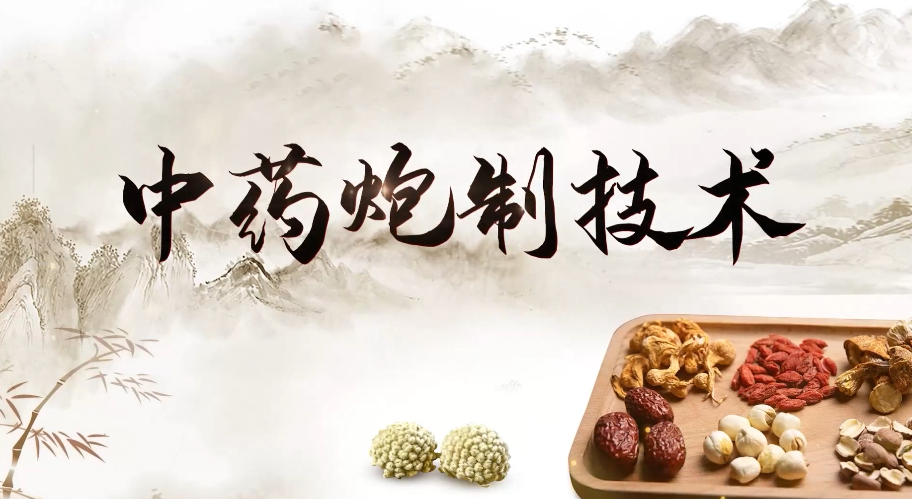 中药炮制技术